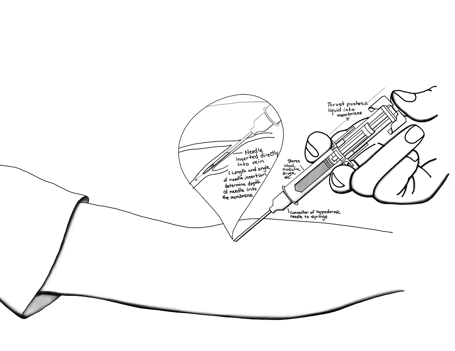 1500x1159 Trypanophobia Understanding The Power Of The Needle Kayla O'Daniel