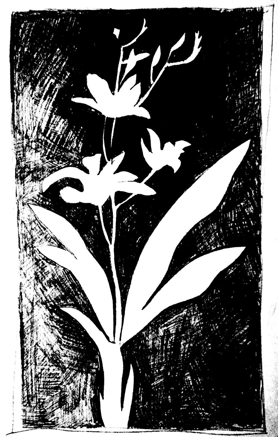 900x1415 Negative Space Lilies By Adonenniel