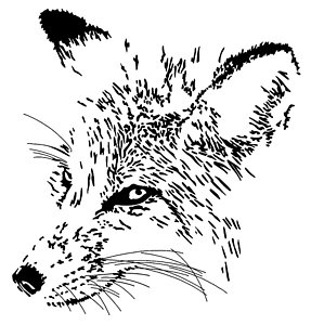 287x300 Negative Space Drawings