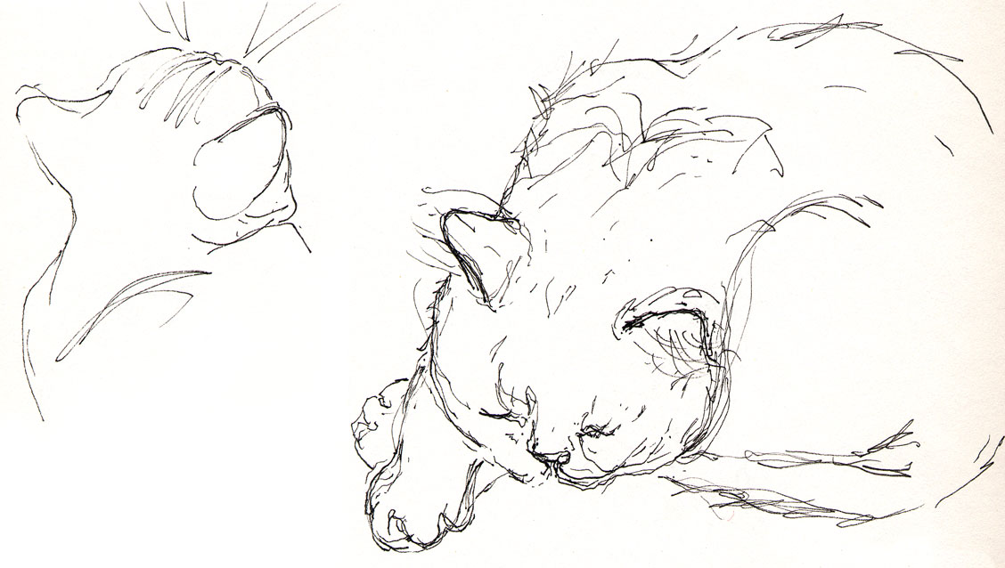 1128x638 Susan Sorensen Don'T Erase