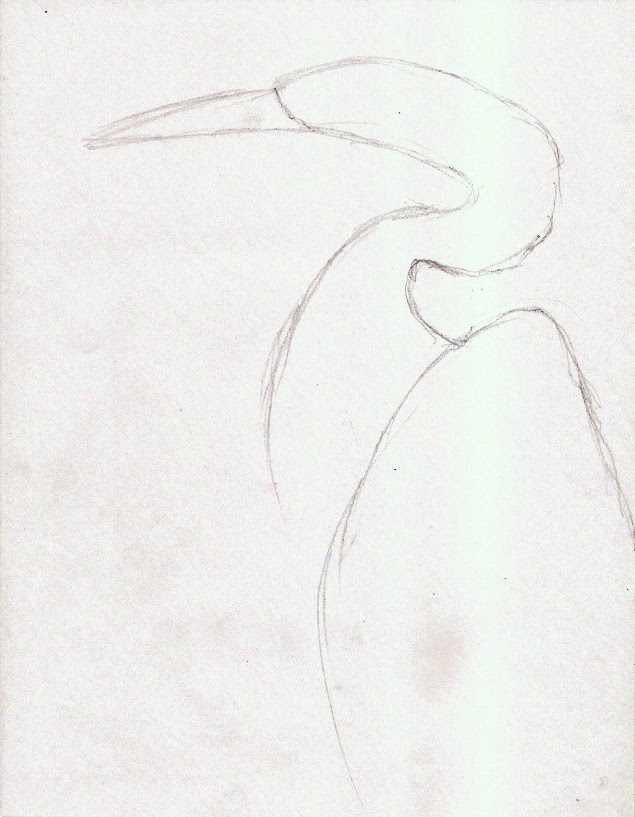 635x817 Natural Bridges Sketchers Weeks 7 10 Form, Contours, Tonal