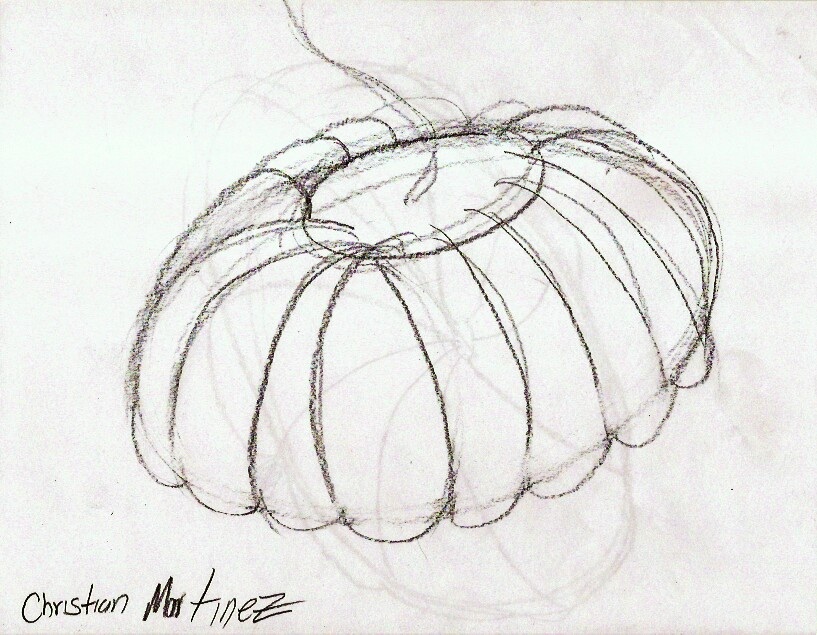 817x635 Salinas Sketchers Weeks 7 10 Form, Contours, Tonal Value