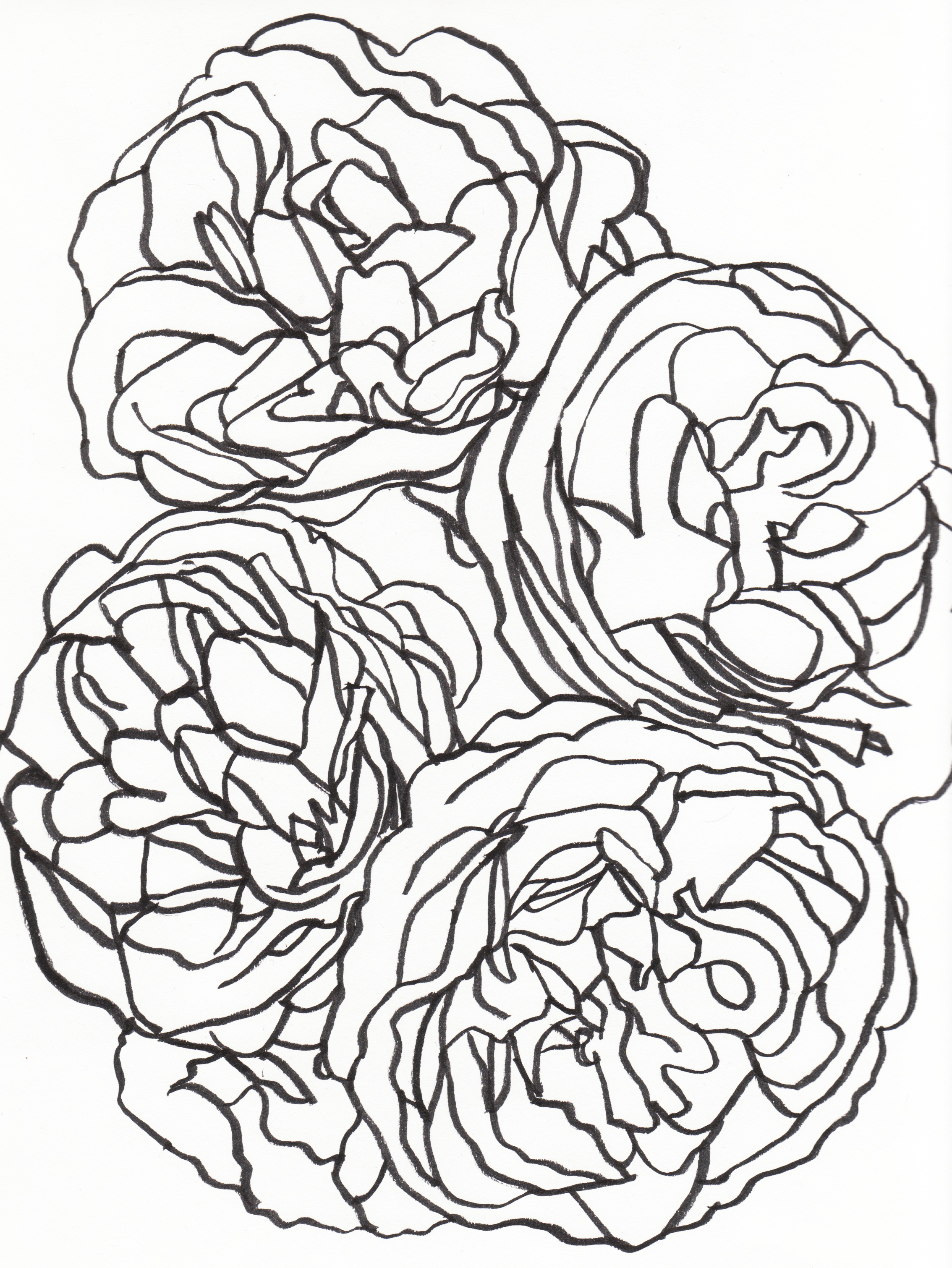 2268x3021 Drawing Direction.