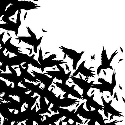 500x500 Black And White T Shirt Design 2d Design Negative