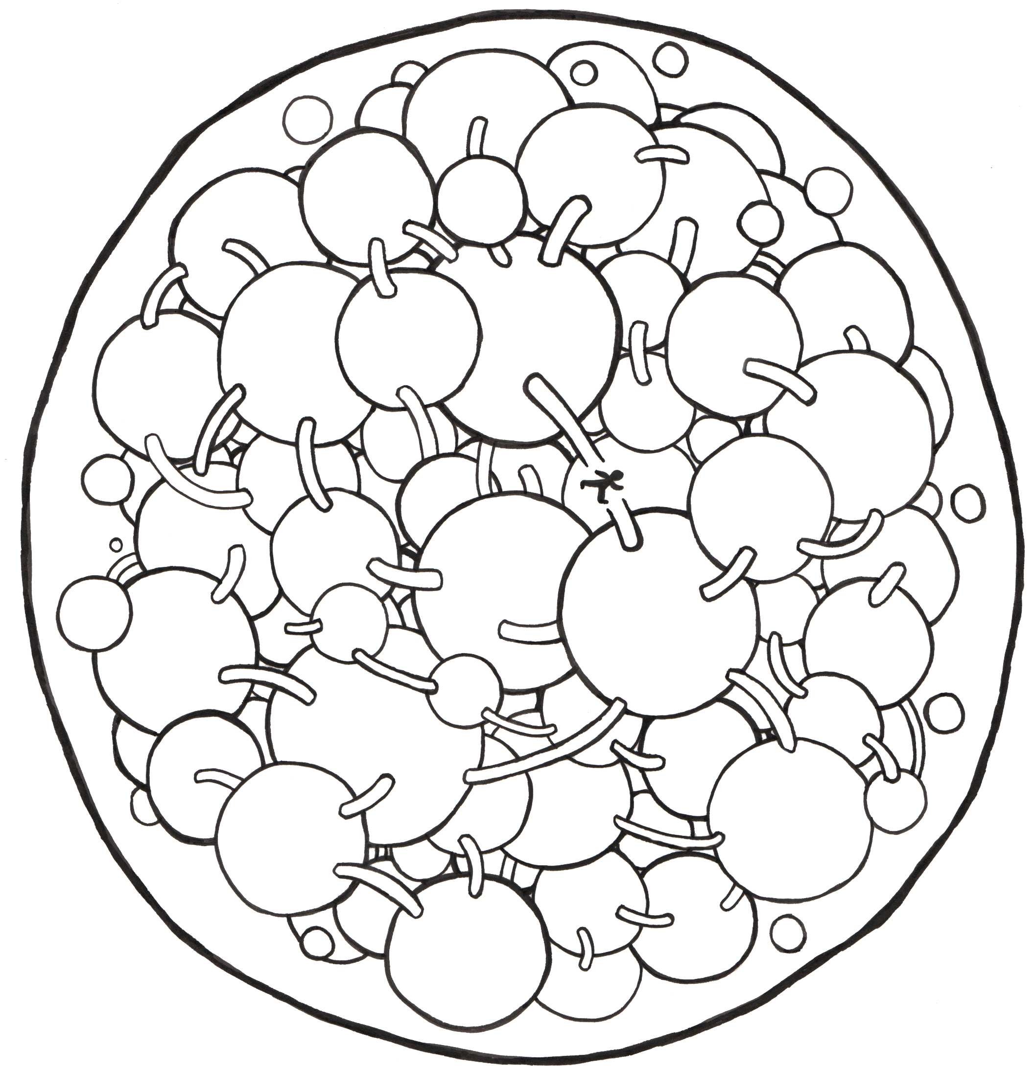 2112x2190 Nelson Mandela Didn'T Die In Prison, And Why It Matters