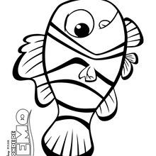 220x220 Marlin, Dory And Nemo Coloring Pages