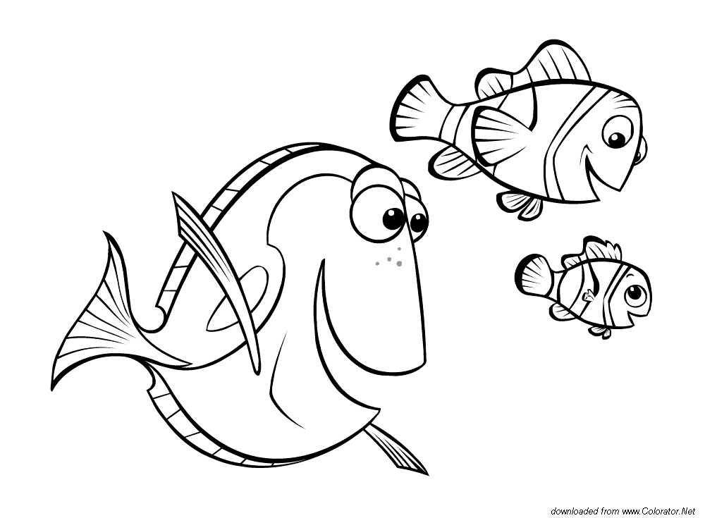 1000x735 Finding Nemo