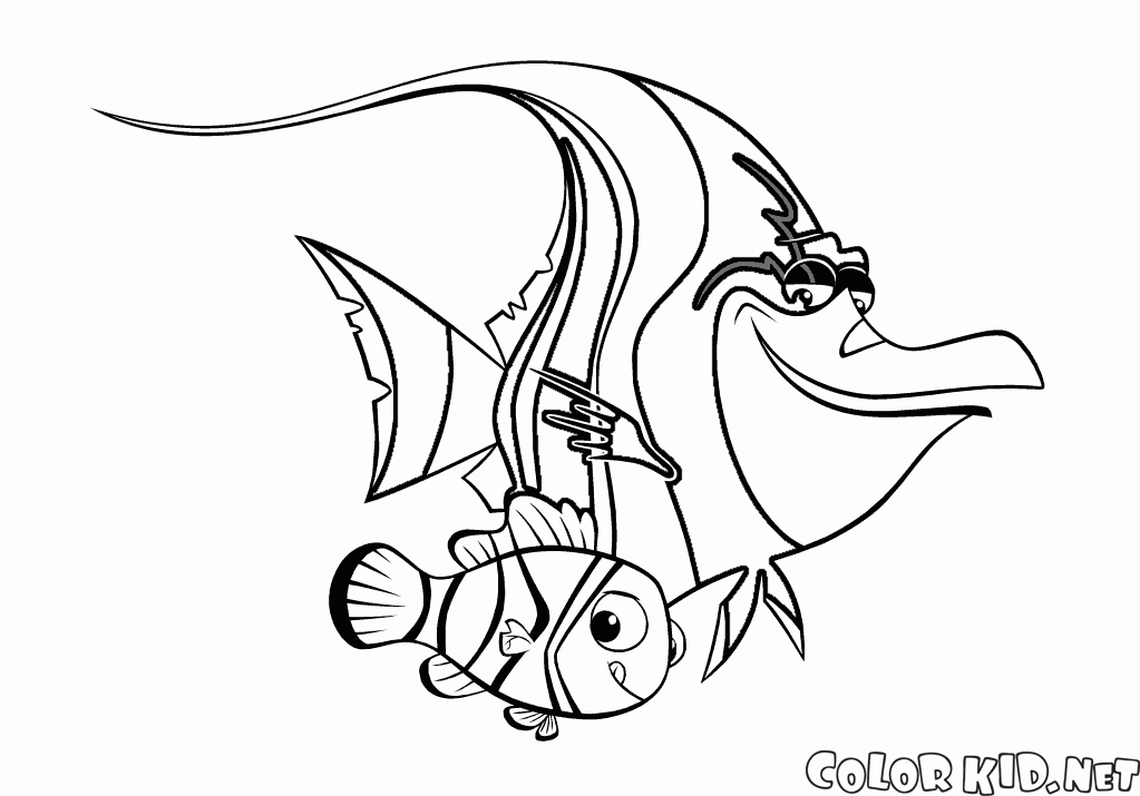 1023x715 Coloring Page
