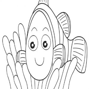 300x300 How To Draw A Cartoon Fish Step By Animals How Adult