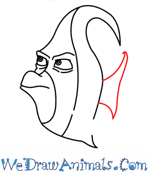 300x350 How To Draw Gill From Finding Nemo