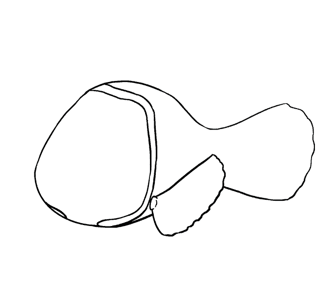 678x600 How To Draw Nemo In A Few Easy Steps Easy Drawing Guides