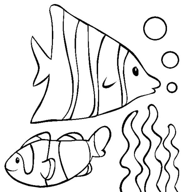 600x612 Nemo Fish Coloring Pages