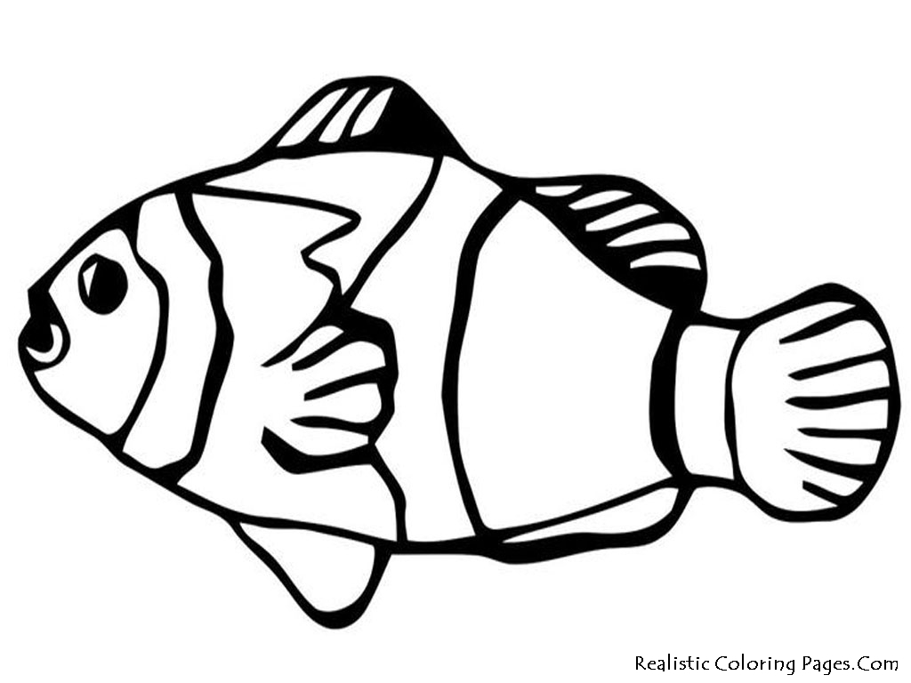 1024x768 Nemo Fish Drawing For Kids