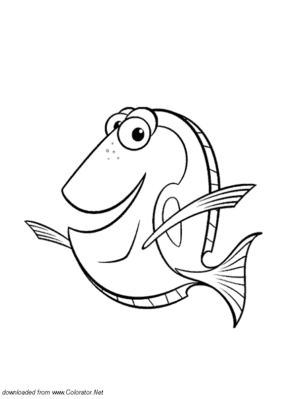 581x808 Finding Nemo