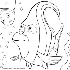 300x300 How To Draw A Cartoon Fish Step By Animals How Adult