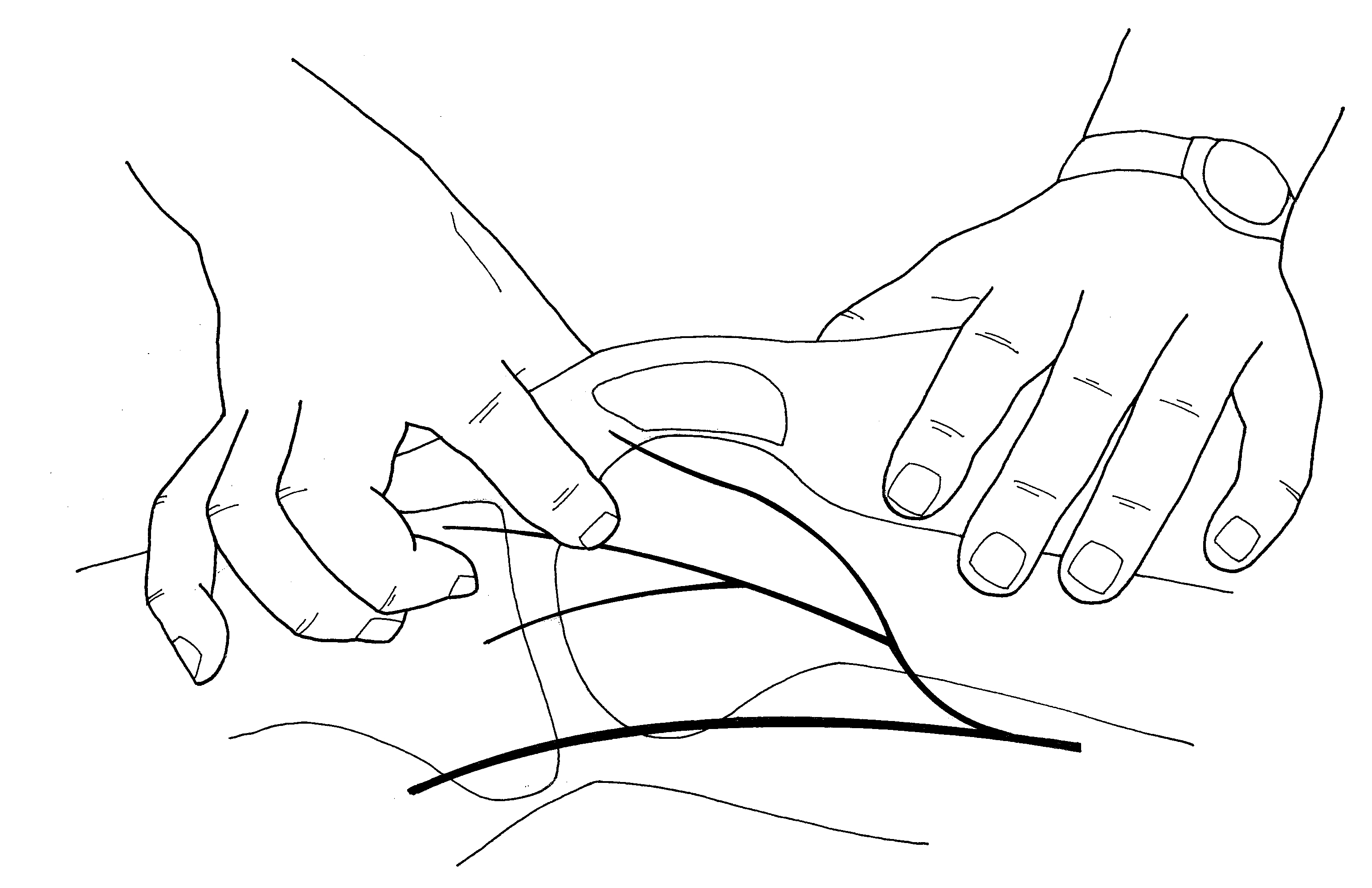 3080x1994 Little Fishing Lines In The Knee Noi Notes