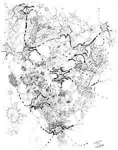 236x300 Nerve Drawings Fine Art America