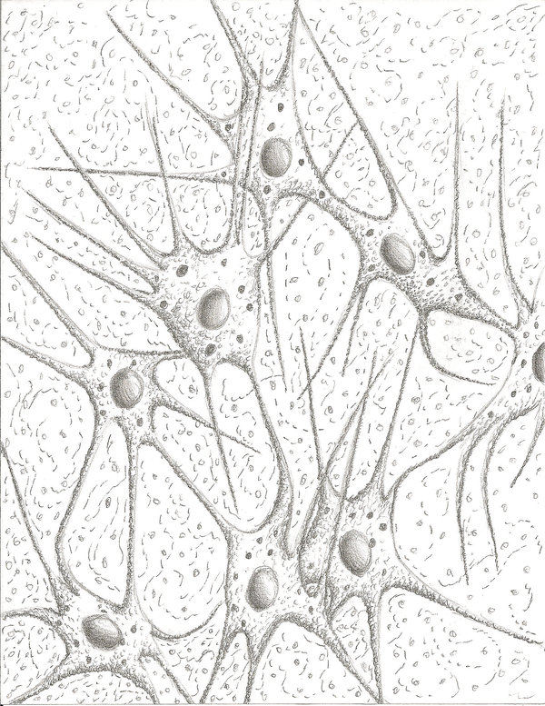 600x777 Nervous Tissue By 45yn M1735