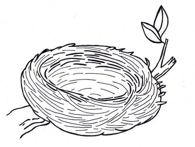 Nest Drawing at GetDrawings | Free download