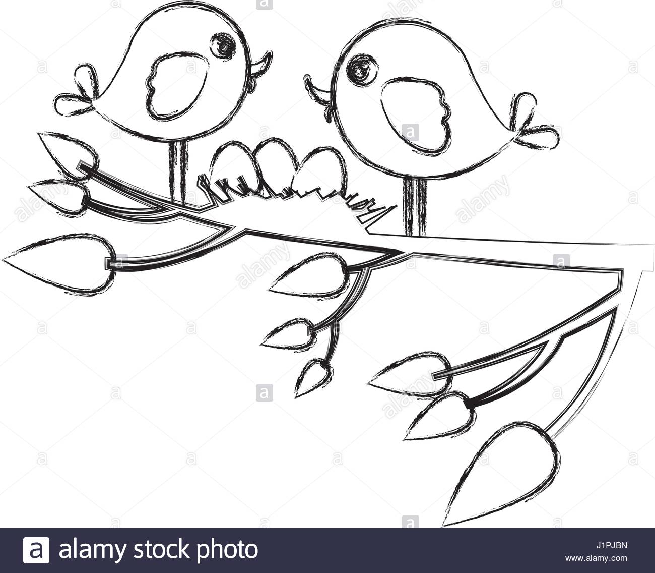 1300x1136 Monochrome Sketch Of Birds And Nest In Tree Branch In Closeup