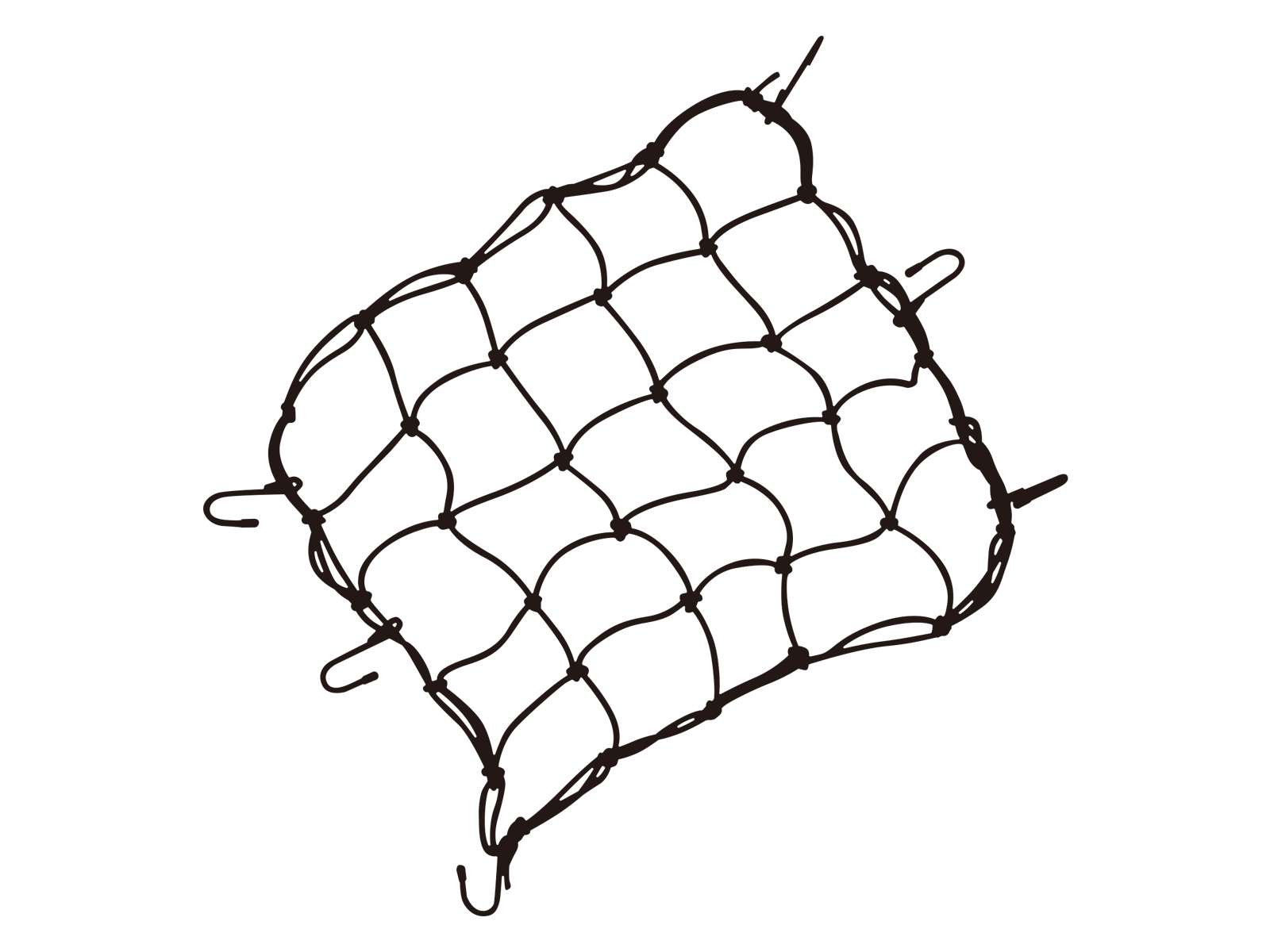 1600x1200 Cargo Net Topeak