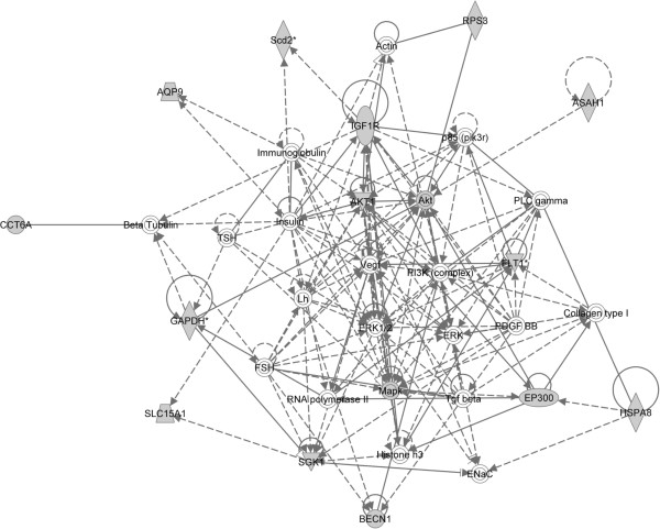 600x481 Network Diagram Of The Single C. Elegans Gene Set