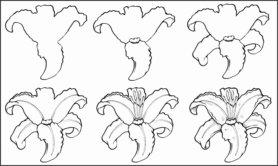 940x562 How To Draw A Pretty Flower Easy Tsdgw New How To Draw A Cute