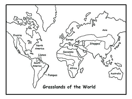 440x330 Top Chrysanthemum Coloring Pages New Flower Drawing Sketch Page