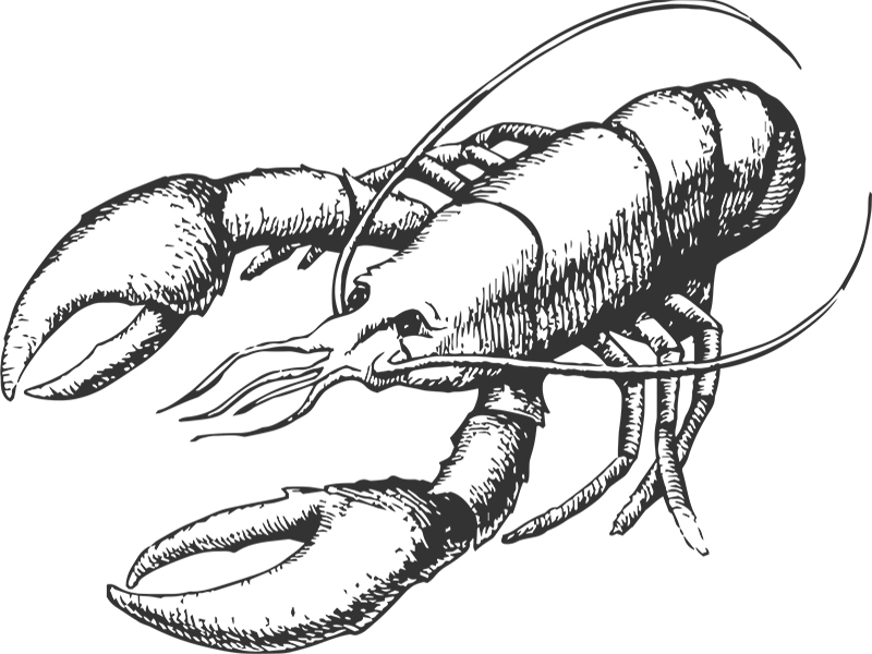 800x600 Live In New Orleans School Of Public Health And Tropical Medicine