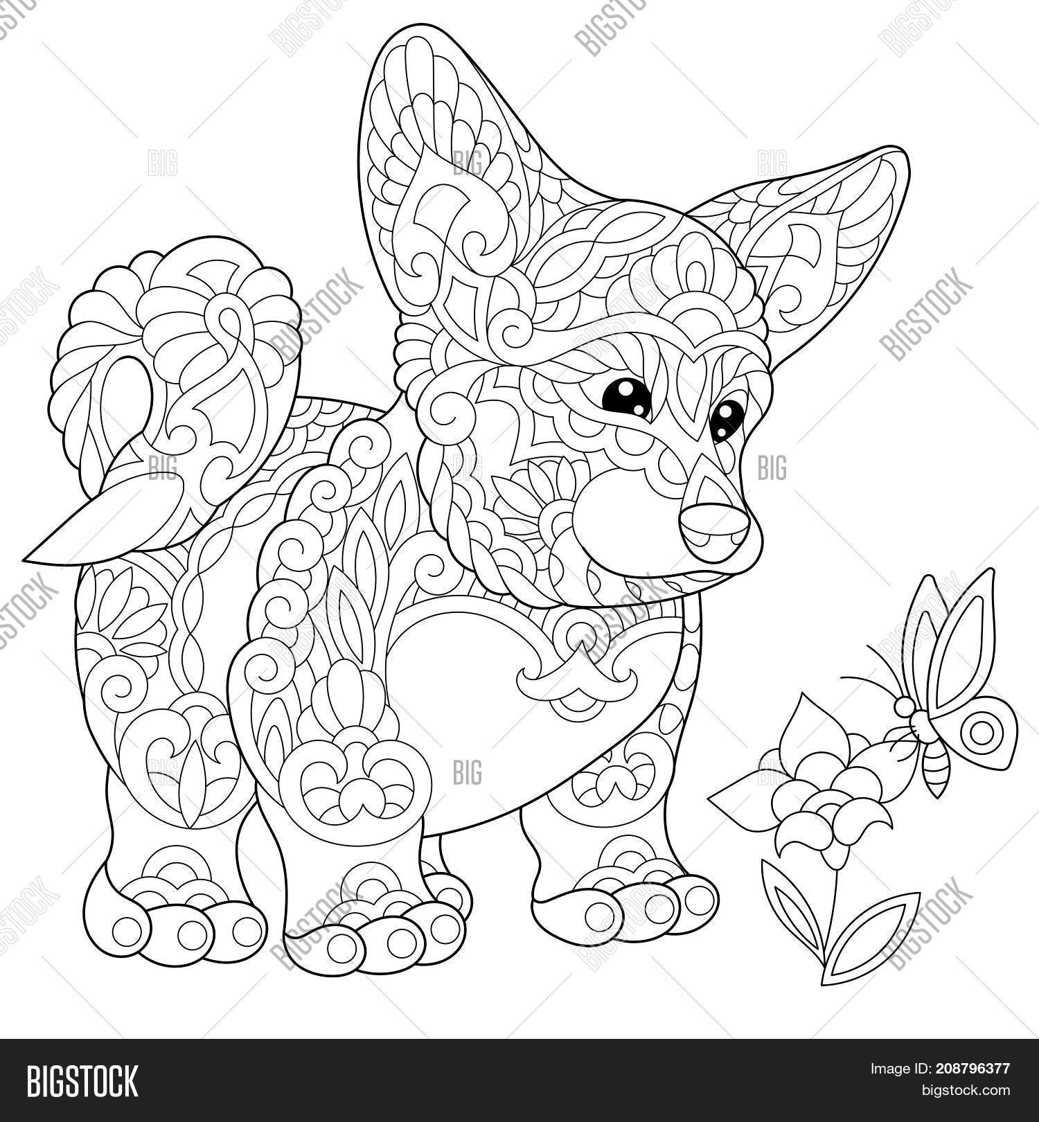 1500x1620 Coloring Page Welsh Corgi, Dog Image Amp Photo Bigstock