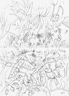 236x326 New York Botanical Garden New York