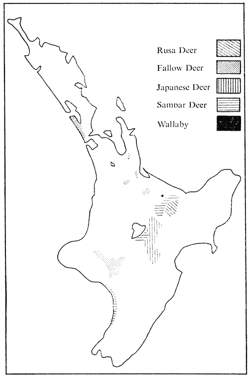 500x758 Distribution Of Wallabies, Wapiti And Deer In The North Island