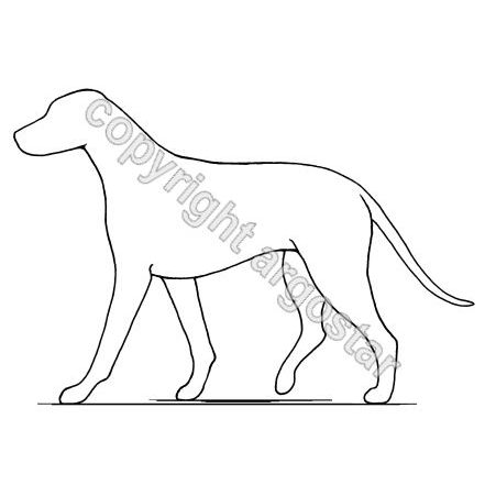 441x441 Educational Illustrations