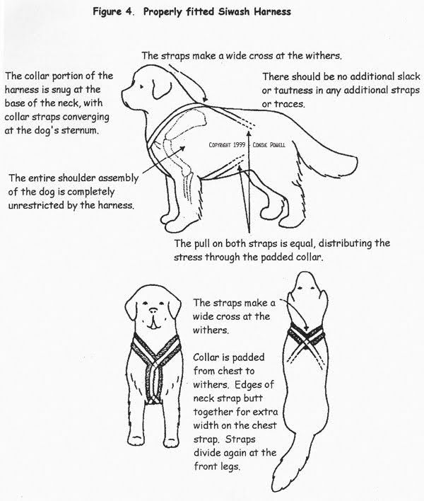 600x708 How To Build Your Own Easy, Dirt Cheap Two Wheel Dog Cart Sweet