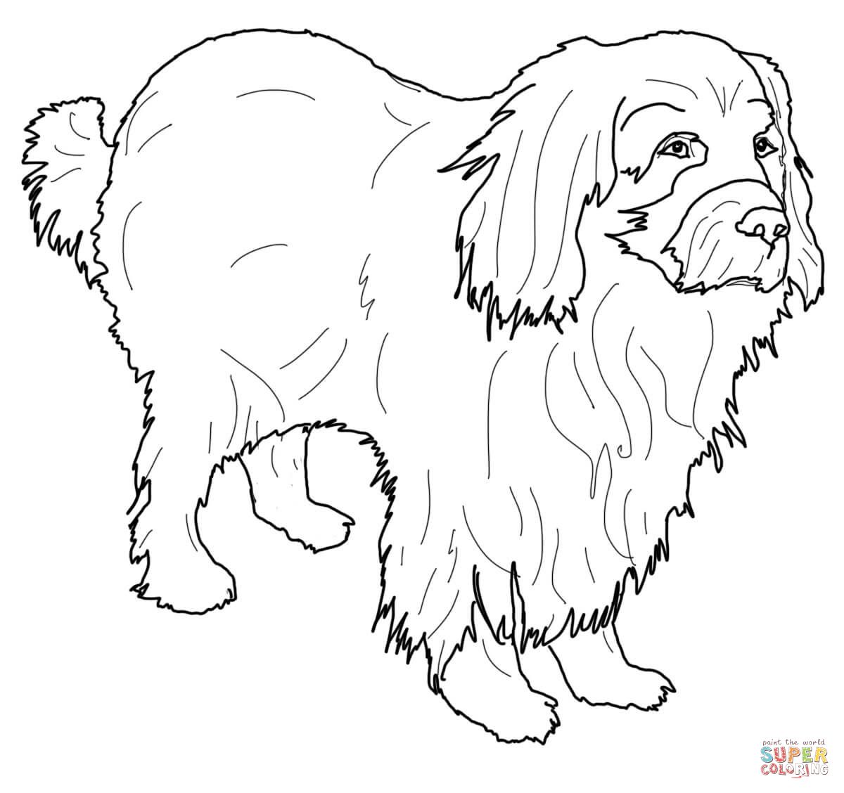 1200x1128 Newfoundland Super Coloring Dog Patterns Dog