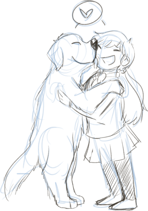 500x710 Brown Newfoundland Dog Tumblr