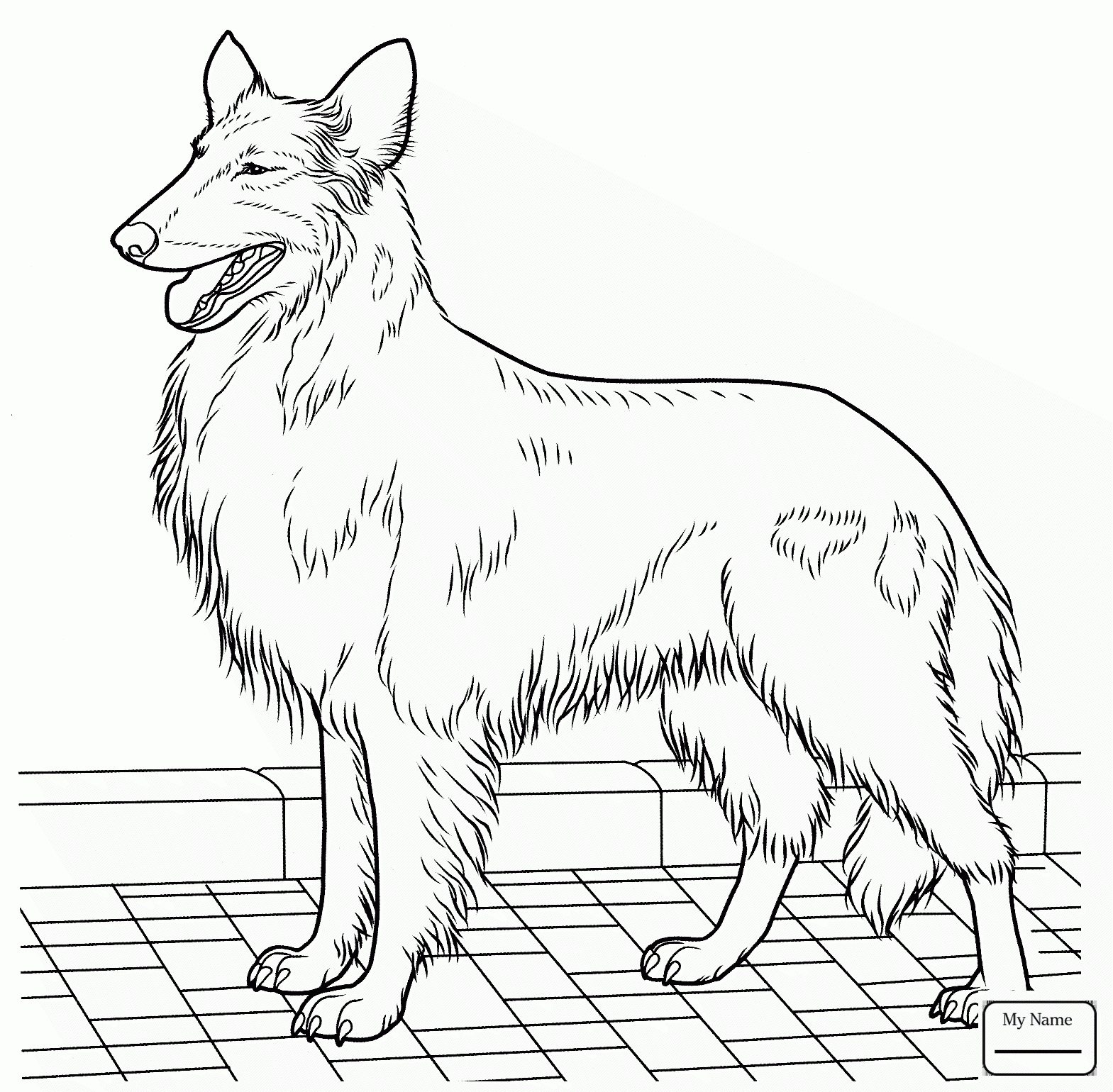 1569x1540 Dogs Boxer Dog Mammals Coloring Pages