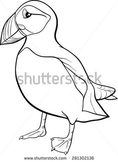 236x323 How To Draw A Puffin. Newfoundland And Labrador Native