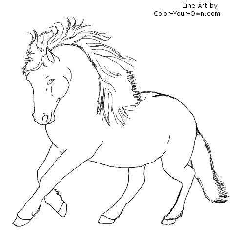 500x500 Newfoundland Pony Line Art Patterns Pony, Crayons