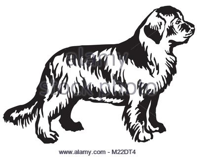 400x320 Black Outline Drawing Of Dog Isolated On A White Background Stock