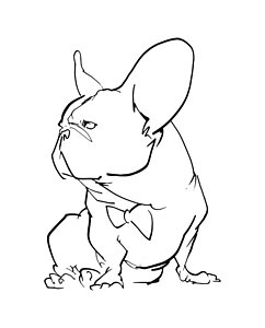 242x300 Bulldog Drawings Fine Art America