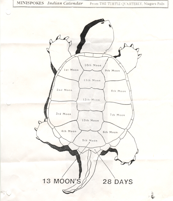 553x640 Fine Wabanaki Art By Morningstar