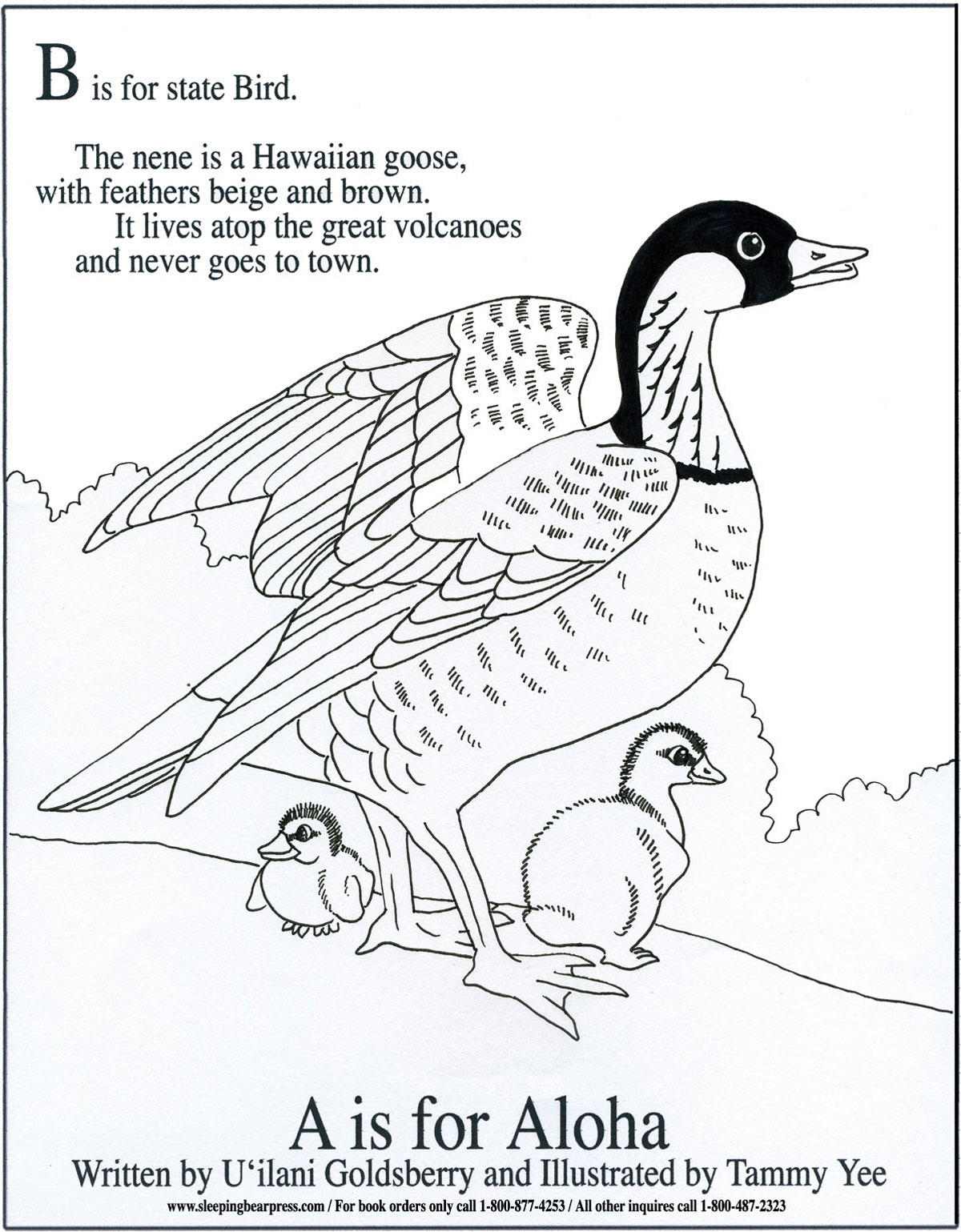 1200x1539 Hawaii State Bird Nene (Hawaiian Goose) Travel N' Stuff 4 Kids