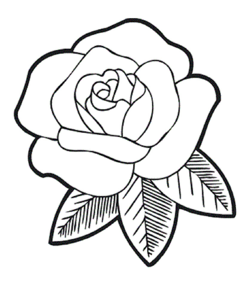 837x992 How Draw A Very Nice Rose How