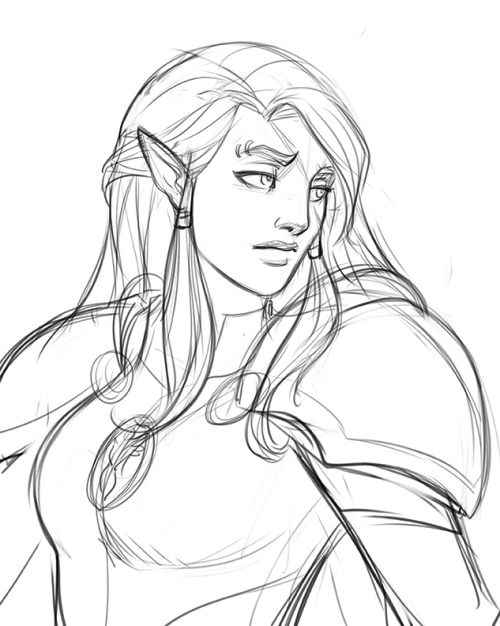 500x626 Dark Elf Sketch Tumblr