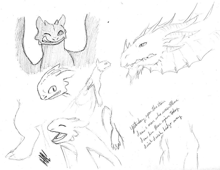 900x693 Night Fury Sketch Iii Of Iii By Absentmindedgenis