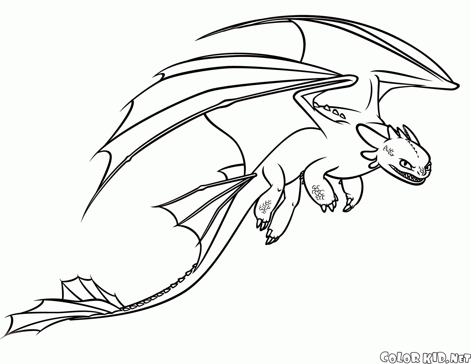 1553x1200 Coloring Page