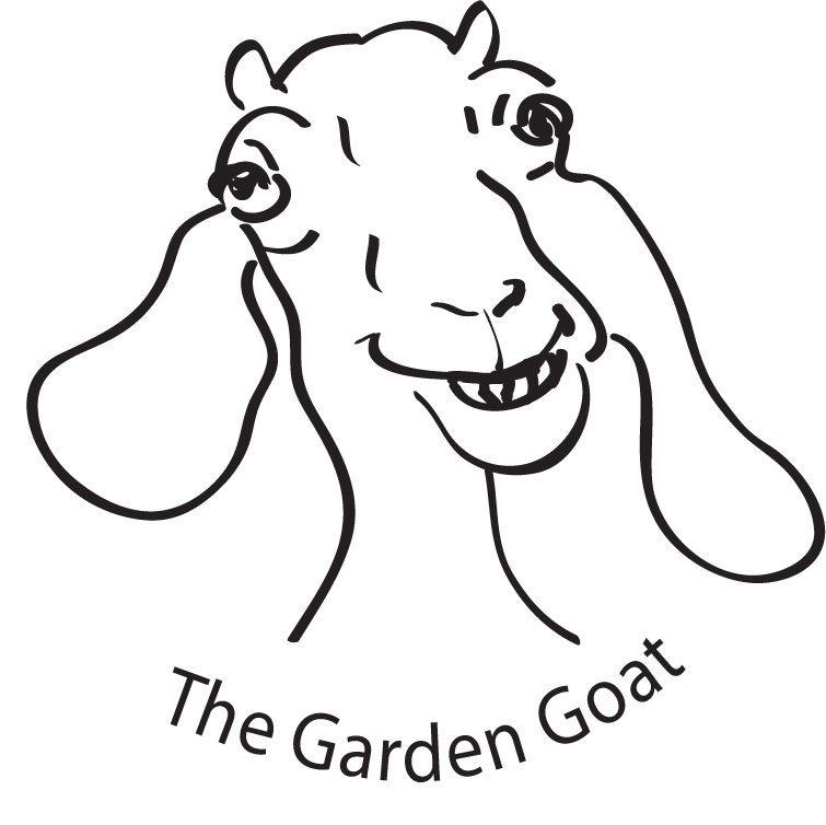 755x754 Nike Logo Gardengoatquote A Goat's Journey Over Life'S