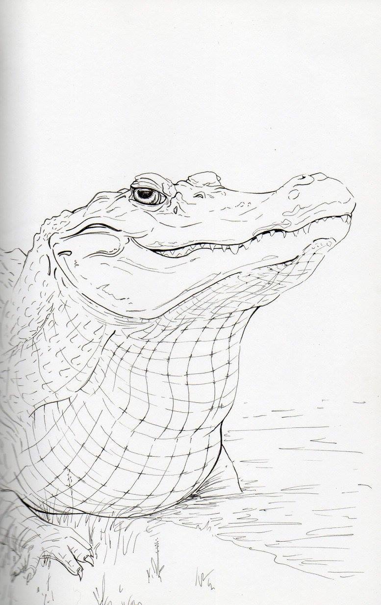 777x1233 Pin By Molly Dooker On Drawings And Paintings. Draw