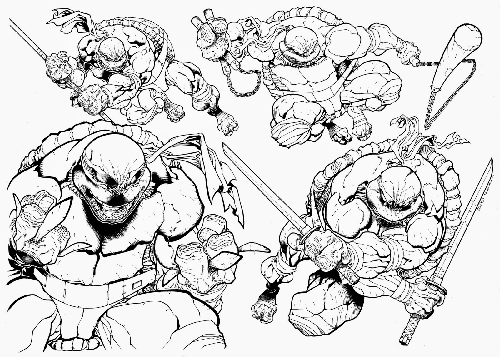 1600x1143 Ninja Turtles All Character Pencil Drawing Images